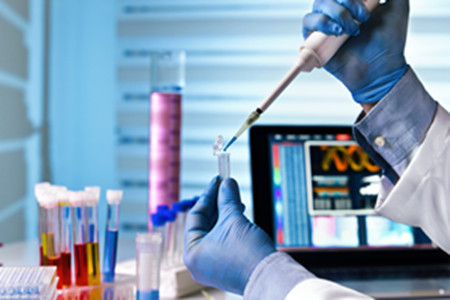 欧盟发布(EU) 2024/3190双酚及其衍生物禁令的指南文件